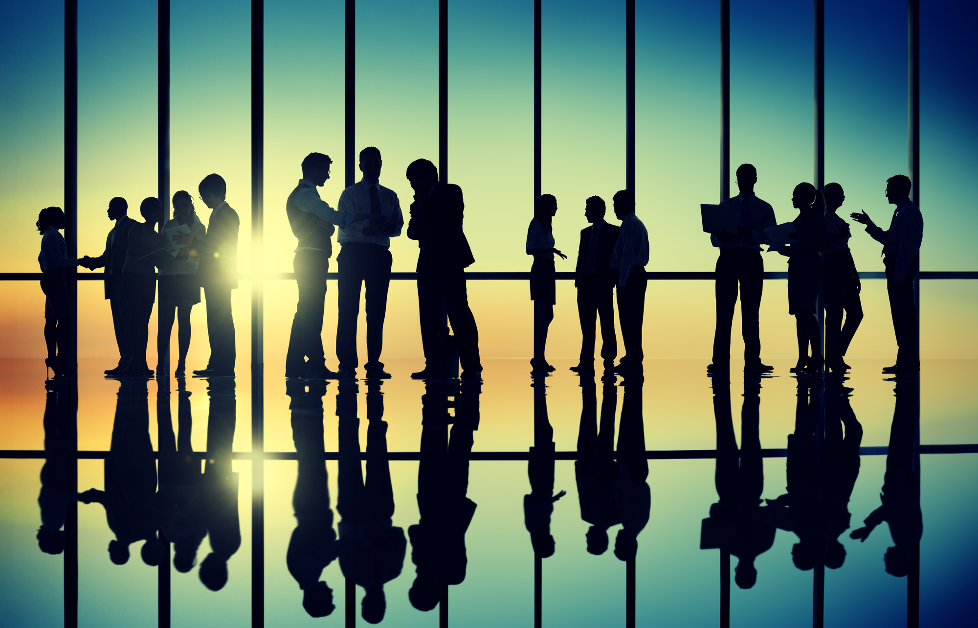 Our Team Location Sports Brands